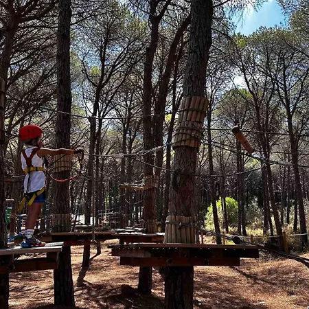 In 2br-1ba Apartment *